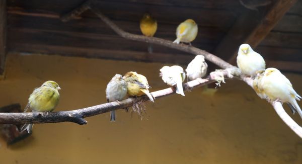 Vogelpark Olching, Kooperationspartner der Kindertafel